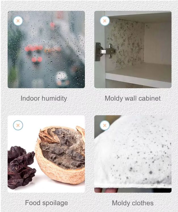 image005 image005